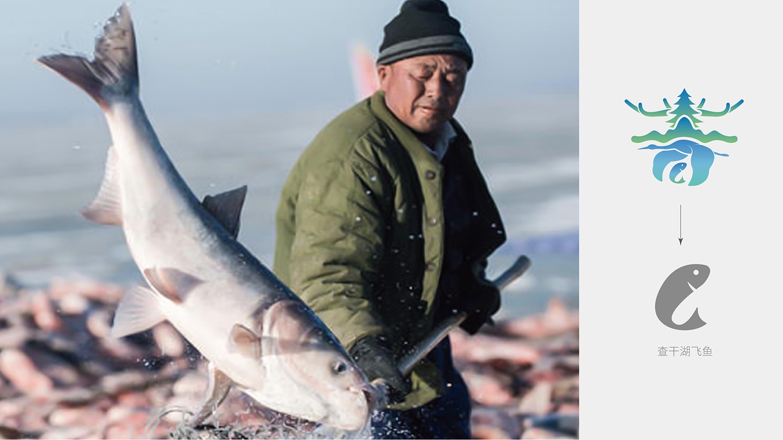 vi設(shè)計杭州有多少家設(shè)計公司？